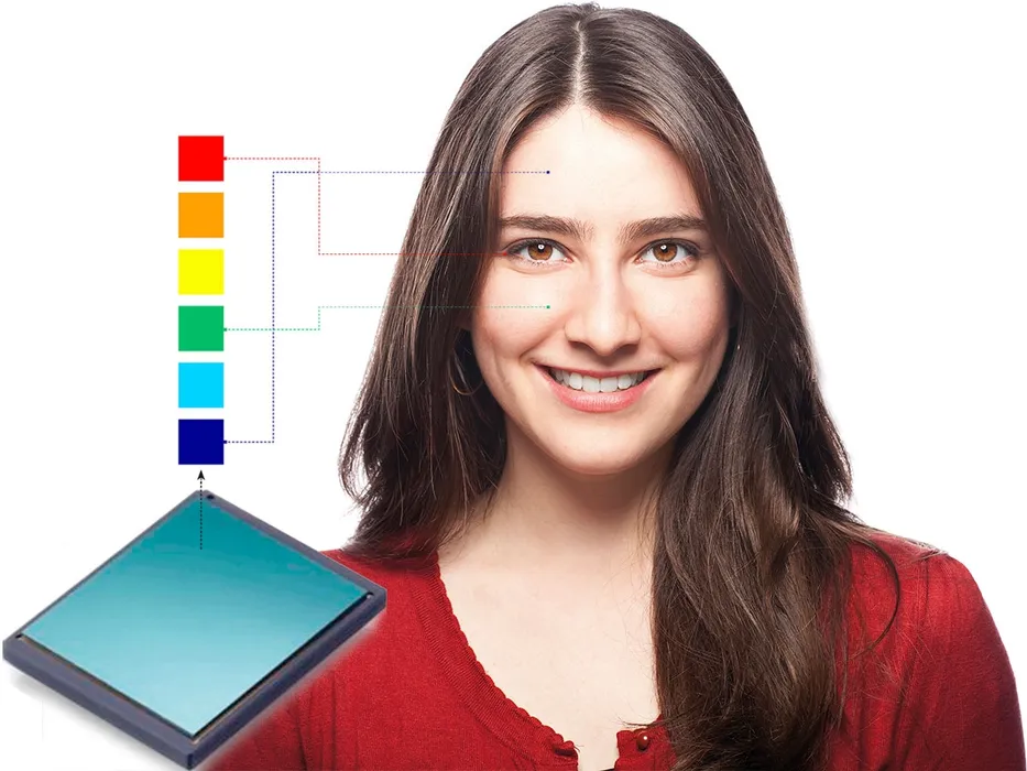 Bild 2:	Der Temperaturverlauf auf der erfassten Oberfläche wird berechnet. In der optischen Darstellung entsteht daraus das Wärmebild mit den bekannten Farbschattierungen: je heller, desto wärmer. (Urheber: alvarez / www.istockphoto.com)