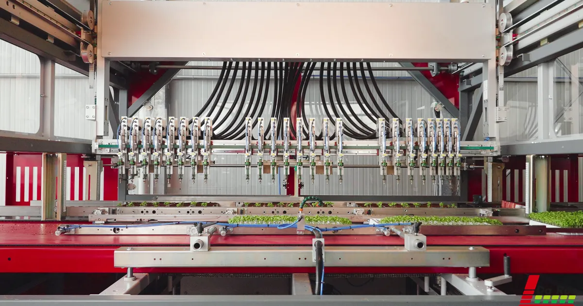 Setzlinge automatisiert umpflanzen