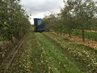 Berührungsloser Winkelsensor bei der Apfelernte