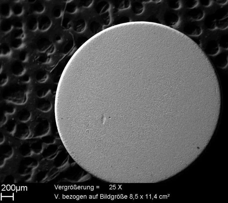Bild 8b: Die räumliche Auflösung des trevista-Systems senkrecht zur Prüfoberfläche liegt typischerweise im einstelligen µm-Bereich (Bild 8a) – Vergleichsaufnahme REM (Bild 8b). (Bild: SAC) 